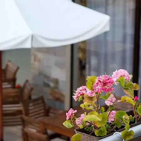 Seaside 1 Bedroom With Balcony, Max 4 Guests * Солнечный берег